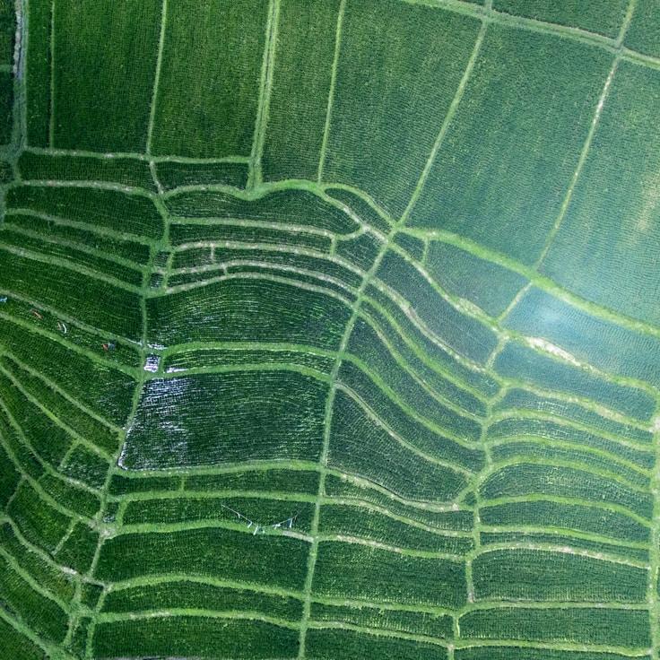 Kids playground area in Switzerland